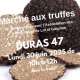 truffes-d-ete-2.jpg