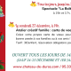 affiche-vacances-chateau-2024bas.png