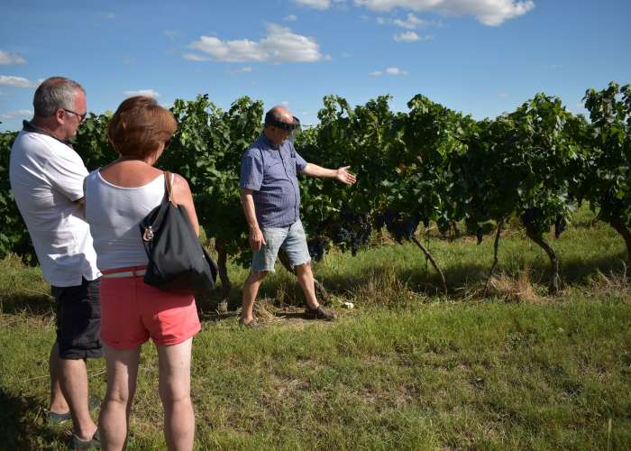 domaine-amblard-aout2020--1-reduit.jpg