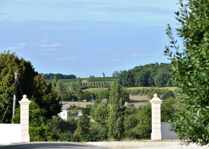 domaine-amblard-aout2020--77-.jpg