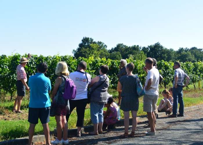 domaine-amblard-soirees-mercredi2016.jpg