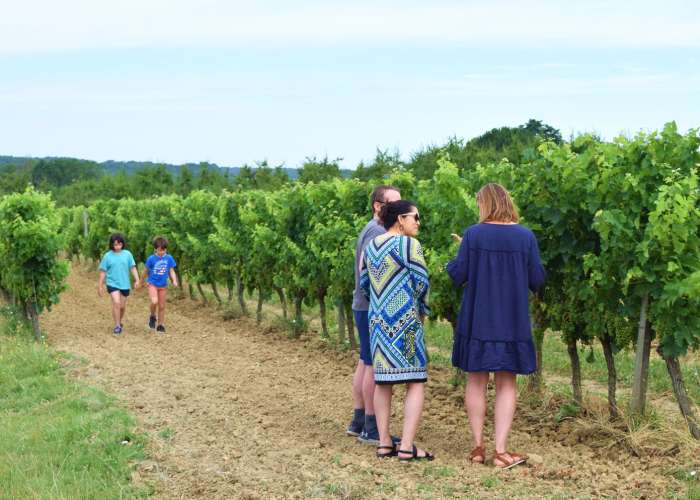 autour-duras-domaine-de-ferrant--67--2.jpg