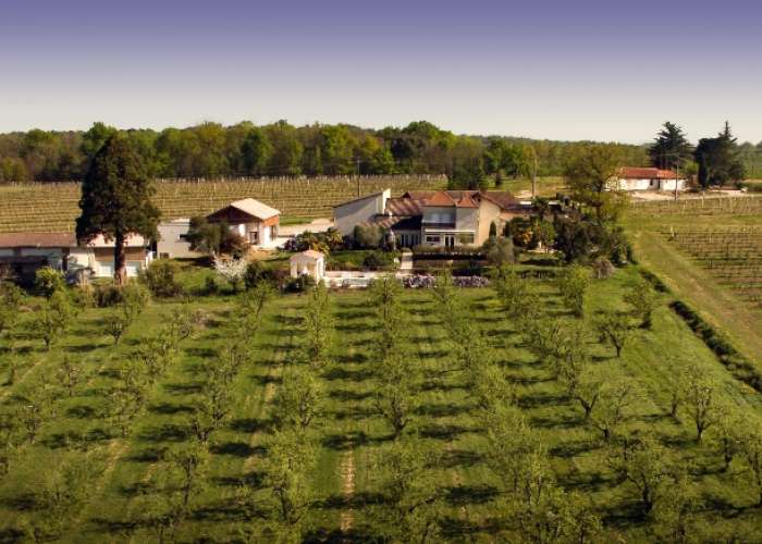 domaine-ferrant--2-.jpg