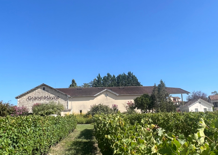 domaine-grand-mayne-2024--10-.png