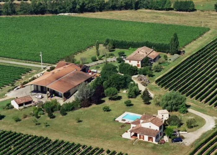 domaine-grand-mayne-2024--13-.png