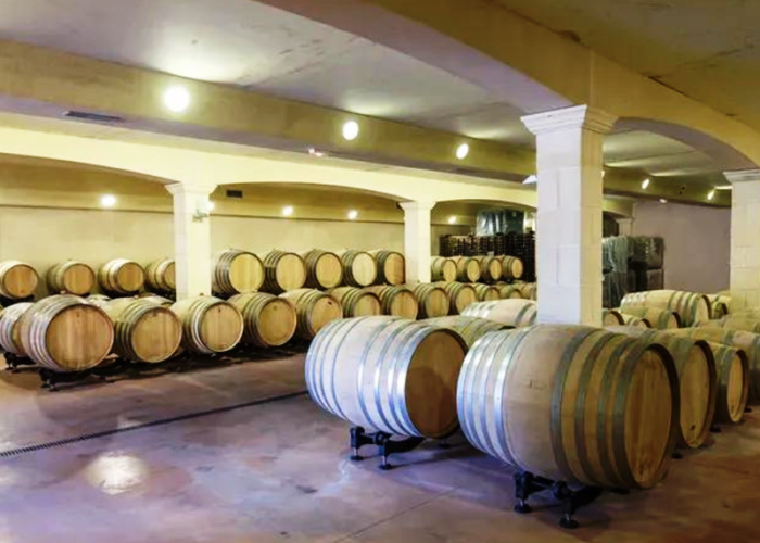 domaine-grand-mayne-2024--3-.png