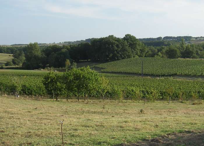 earl-du-bois-clair.jpg