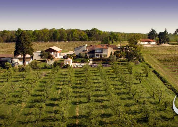 domaine-ferrant.jpg