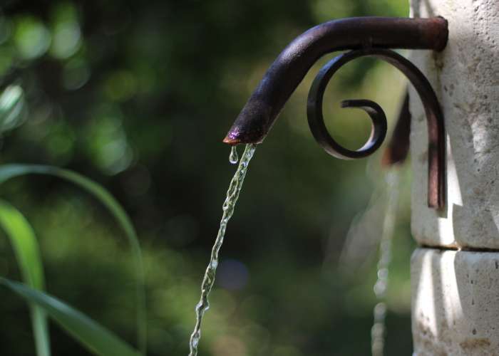 jardin-boissonna23-2.jpeg