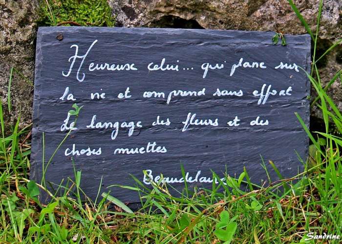 jardin-de-boissanna-2021--5-.jpg