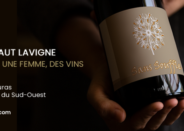 chateau-haut-lavigne-viti--1-.png