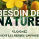 flyer-herbes-sauvages.png