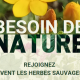 flyer-herbes-sauvages-2.png