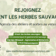 flyer-herbes-sauvages-bas.png