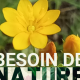 flyer-herbes-sauvages-haut.png