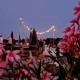 domaine-grand-mayne-evenement-2024--3-.png