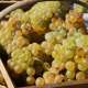 ban-des-vendanges-cotes-de-duras-2014--10-.jpg