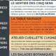 programme-ete-vivent-les-herbes-sauvages.jpg