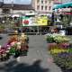 marche-aux-fleurs-2025-duras--9-.jpg