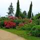 jardin-de-boissanna-2021--4--2.jpg