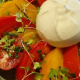 burrata-grilladin-2026.png