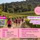 octobre-rose-grand-mayne-26-en-bas.jpg