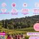 octobre-rose-grand-mayne-26-en.jpg