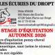 stage-ecurie-du-dropt.hautjpg.jpg