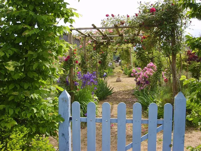 jardin de mireille 1