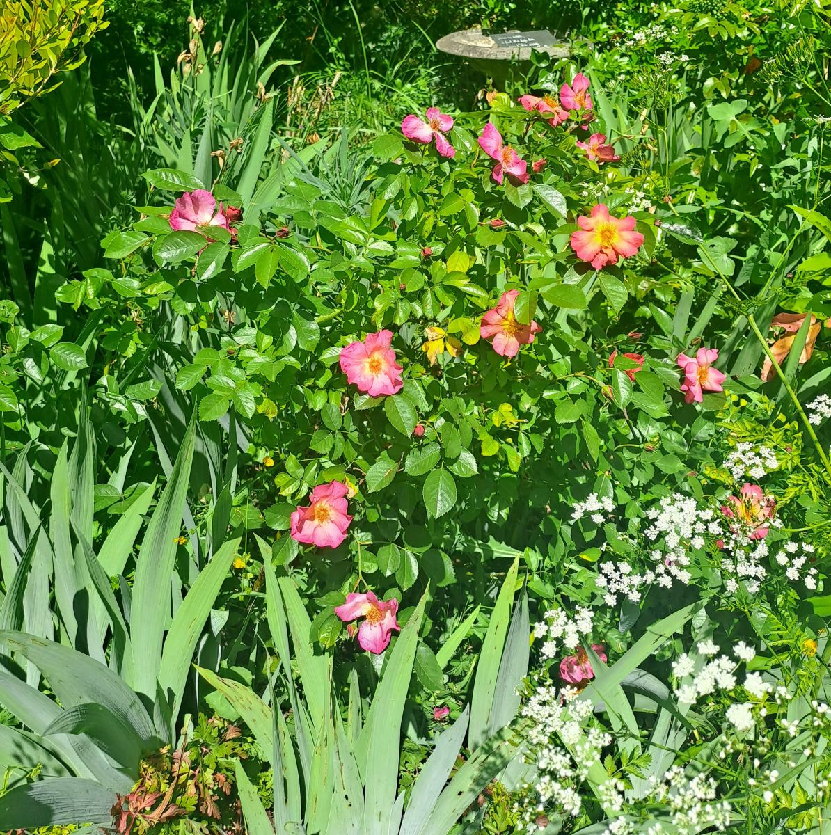 20260424_140209.jpg