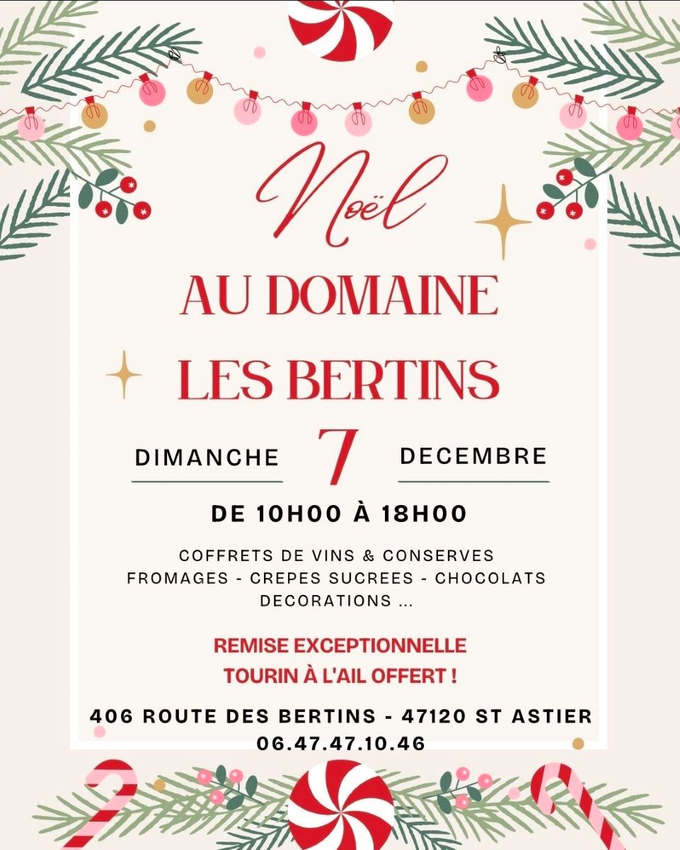 Bertin_Noel.jpg