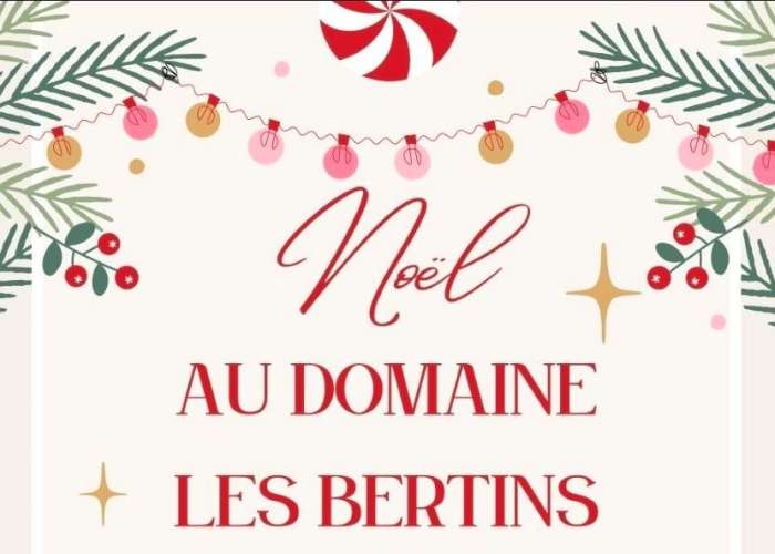 image de Le Noël du Domaine les Bertins