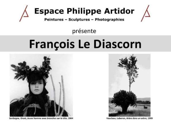 image de Exposition photographique de François Le Diascorn - Les Arbres Improbables