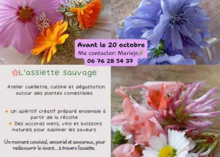 image de L'assiette sauvage
