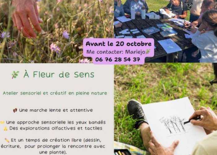 image de A fleur de sens