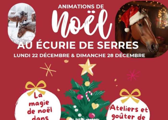 image de Animations de Noël aux écuries de Serres