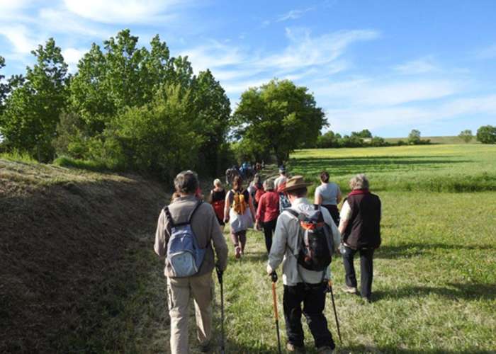 image de Randonnée pédestre du Printemps
