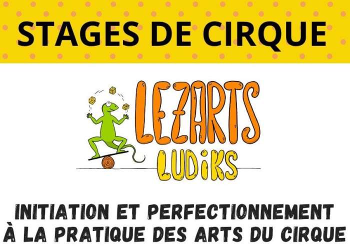 image de Stage des arts du cirque avec Lezarts Ludiks