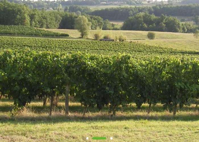 image de Portes ouvertes au Château du Bois Clair