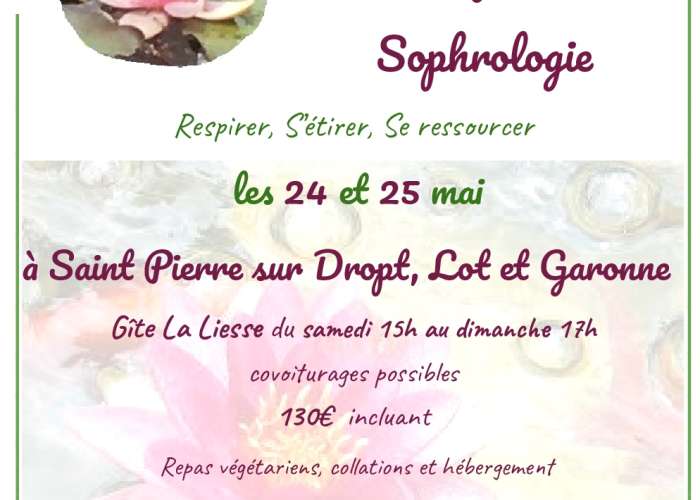 image de Stage Duo bien-être Yoga et Sophrologie