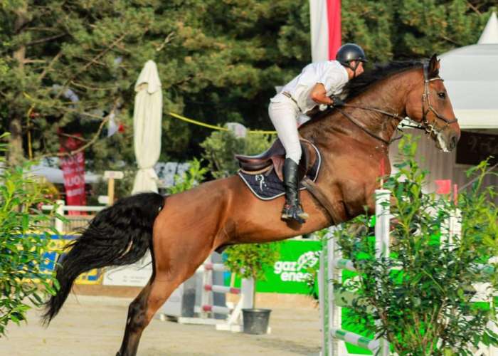 image de Stage d'équitation de Pâques