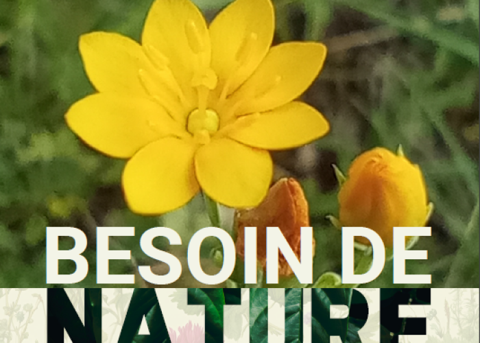 image de Week-end plantes sauvages !
