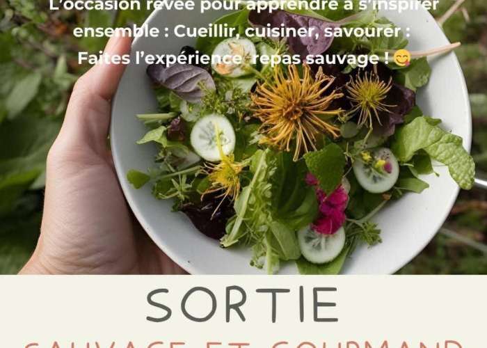 image de Sortie sauvage et gourmande !