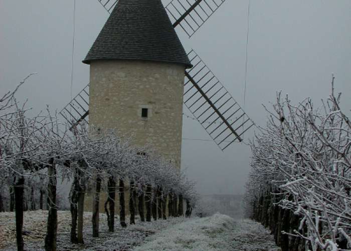 image de Le Moulin de Marquet, dans les vignes de Villeneuve-de-Duras