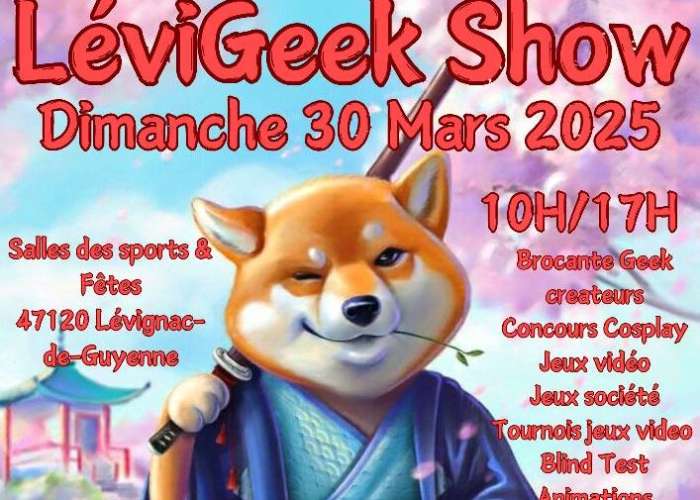 image de LeviGeek Show