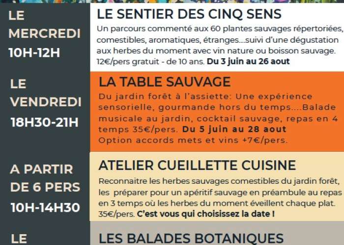 image de Atelier Cueillette et Cuisine en 3 temps