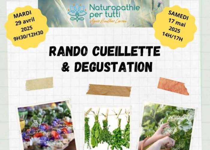 image de Rando cueillette et dégustation