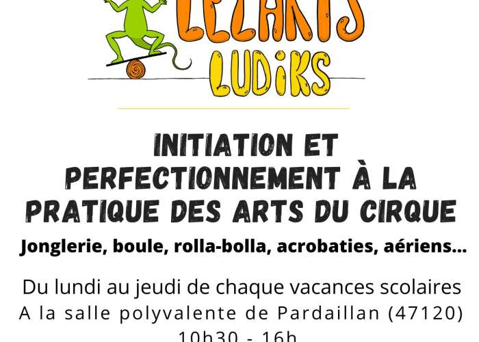image de Stage des arts du cirque avec Lezarts Ludiks