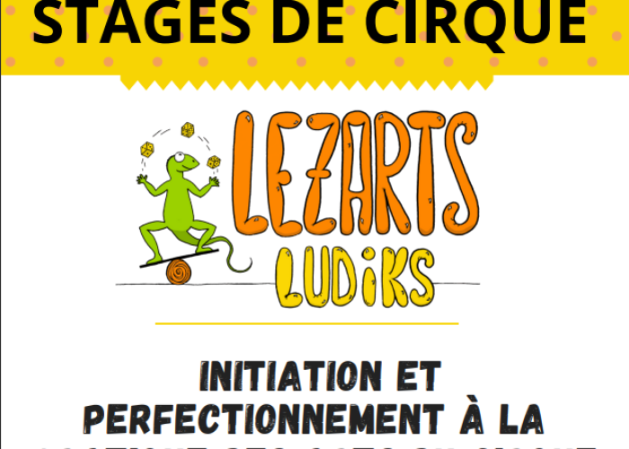 image de Stage des arts du cirque avec Lezarts Ludiks