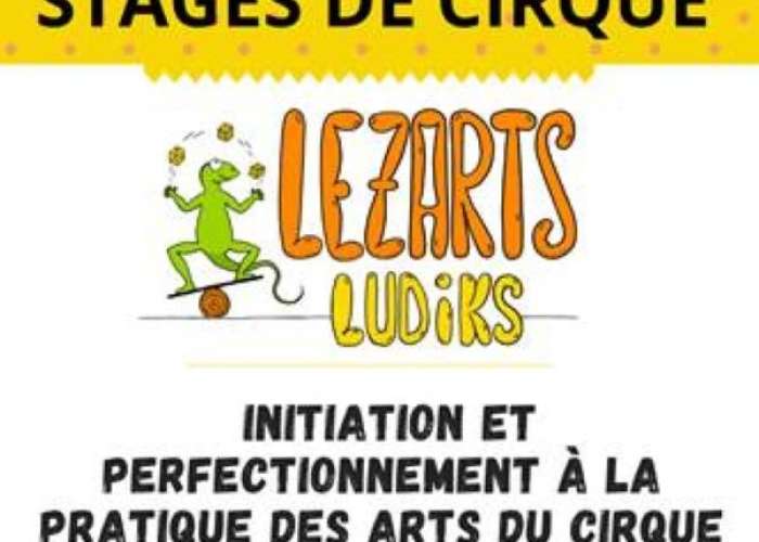 image de Stage des arts du cirque avec Lezarts Ludiks